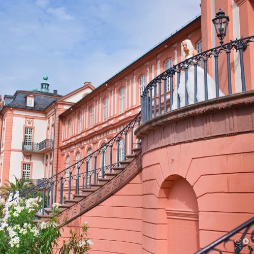 59377685_592651547808590_1491502643281731884_n